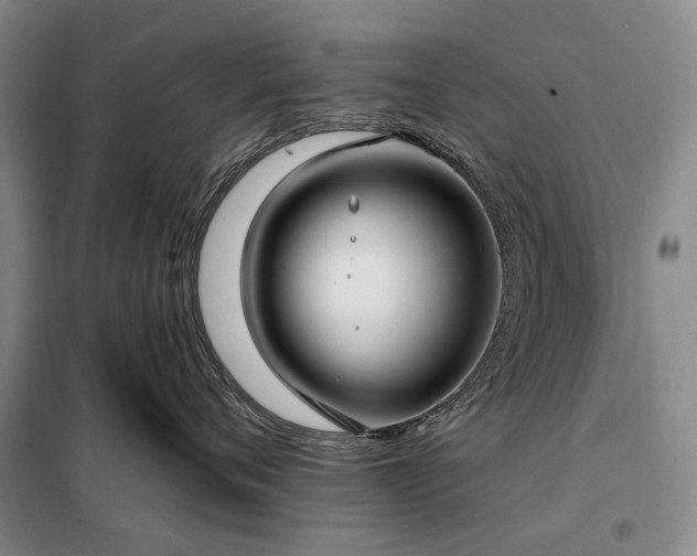 X0000098210720200805011211