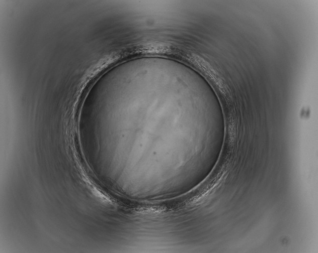X0000098210721200805011210