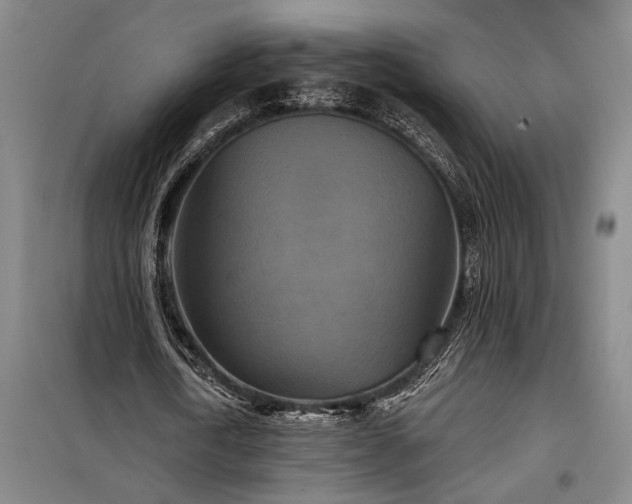X0000098210722200805011210