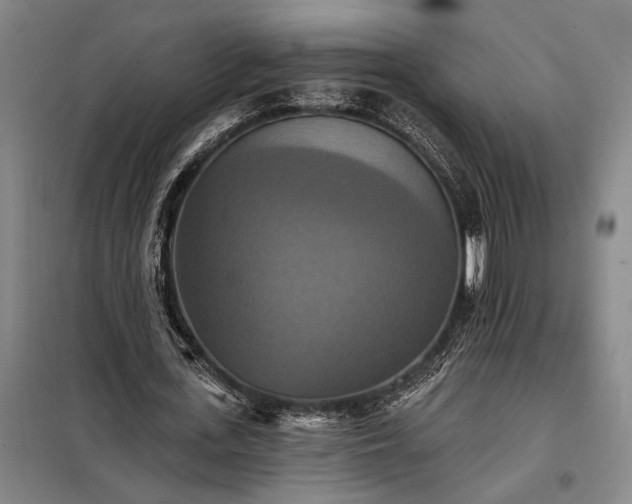 X0000098210723200805011210