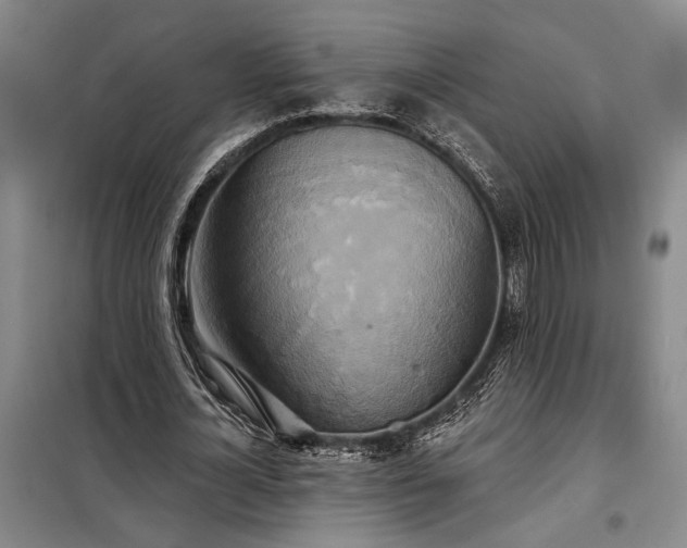 X0000098210724200805011210