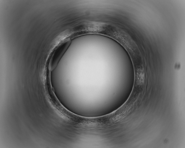 X0000098210726200805011210