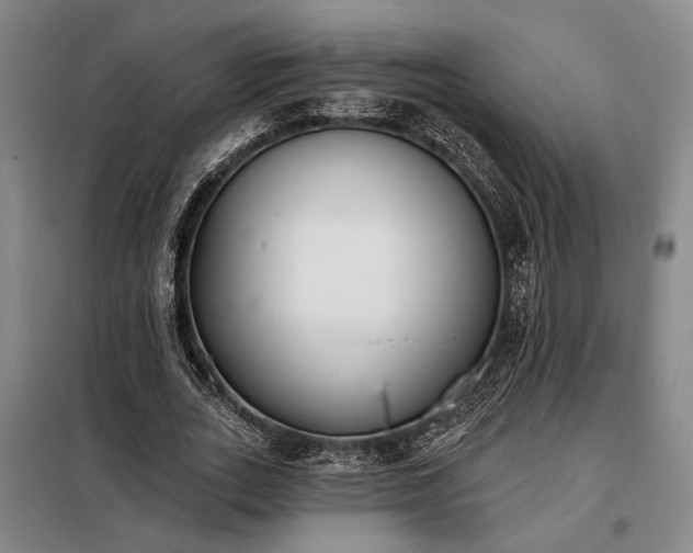 X0000098210727200805011210
