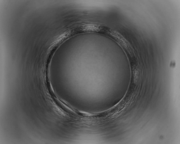 X0000098210729200805011210