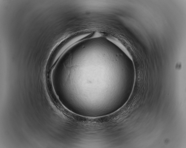 X0000098210730200805011210