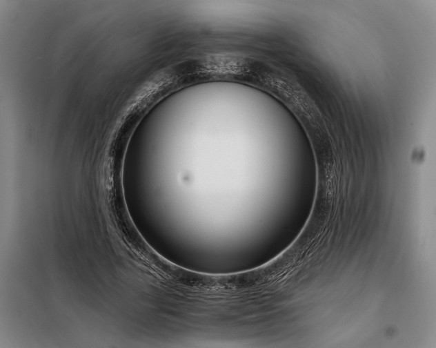 X0000098210731200805011210