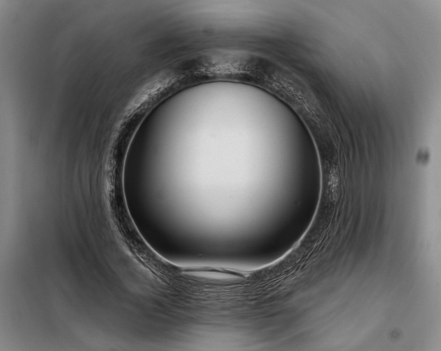 X0000098210732200805011210