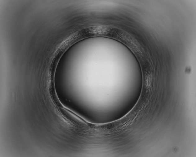 X0000098210733200805011210