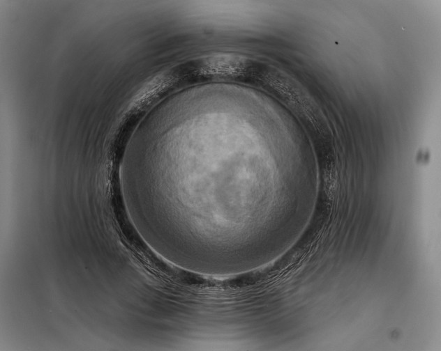 X0000098210735200805011210