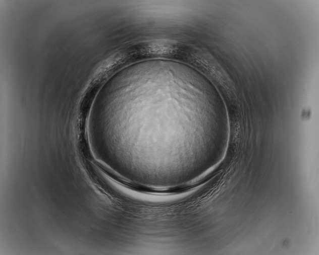 X0000098210736200805011210
