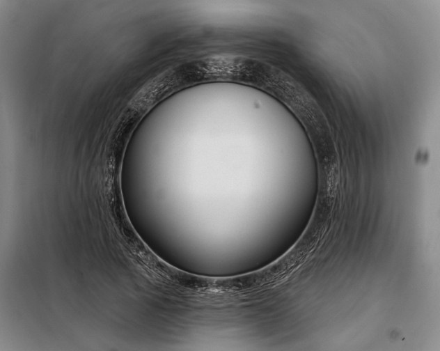 X0000098210737200805011210