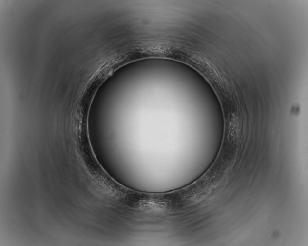 X0000098210739200805011210