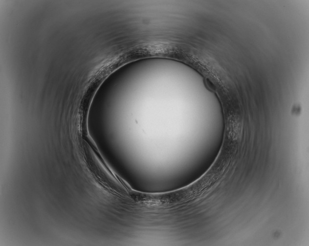 X0000098210740200805011210