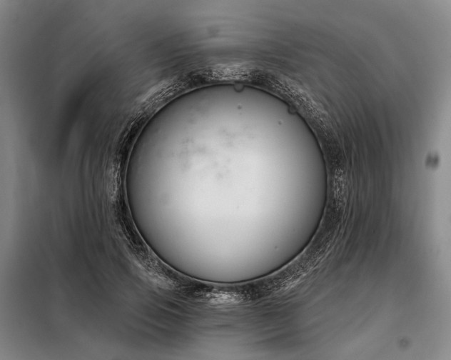X0000098210741200805011210