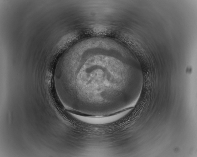X0000098210742200805011210