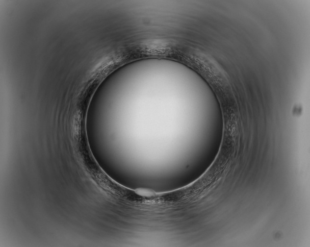 X0000098210744200805011210