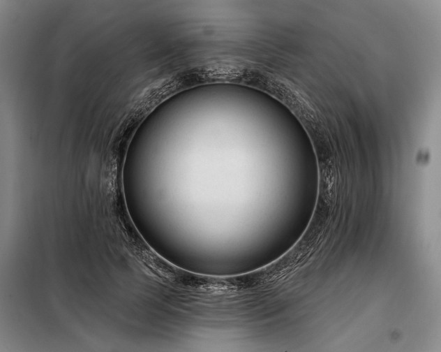X0000098210745200805011210