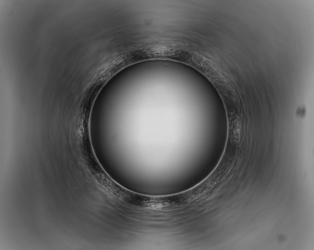 X0000098210746200805011210