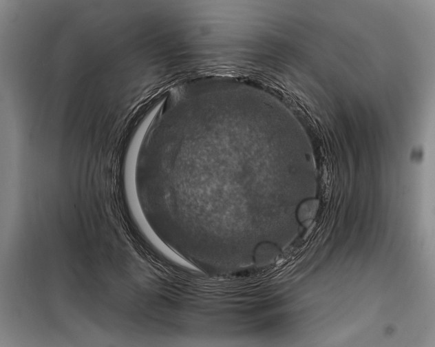 X0000098210747200805011210