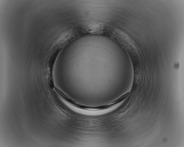 X0000098210748200805011210