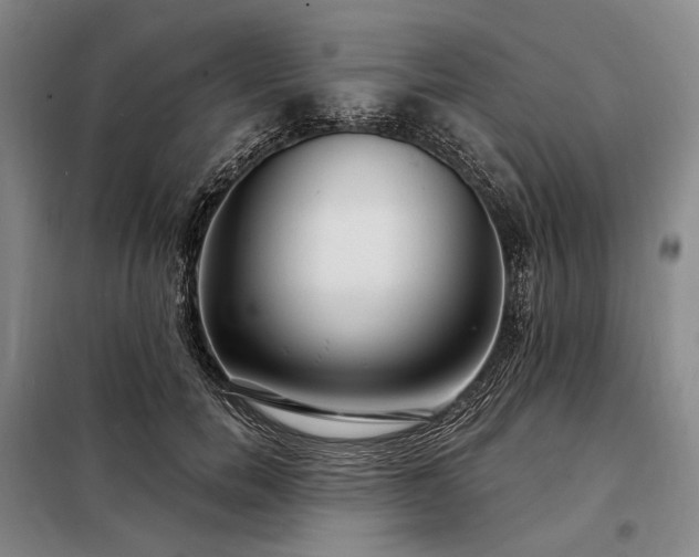 X0000098210750200805011210