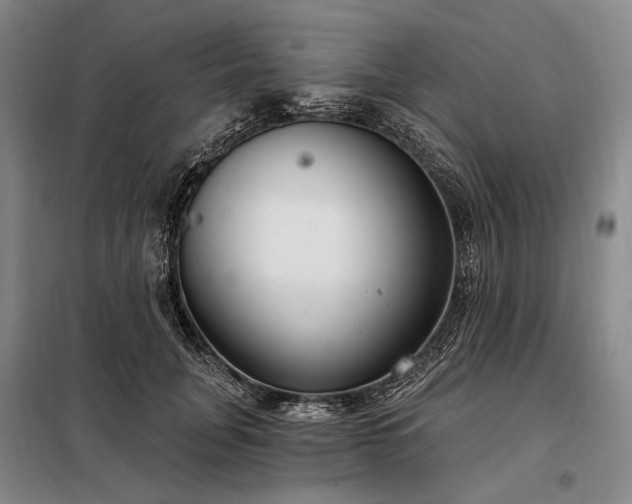 X0000098210751200805011210