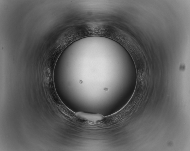 X0000098210752200805011210