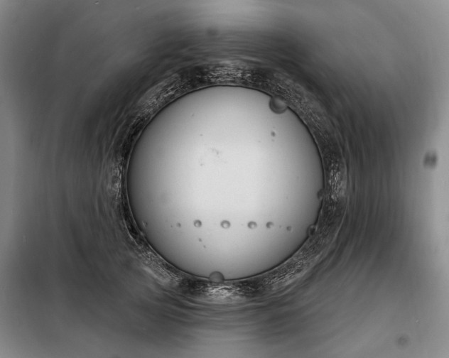 X0000098210753200805011210