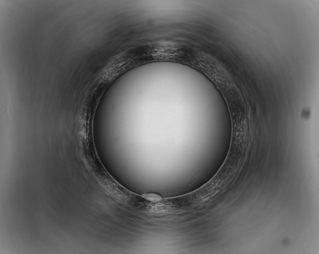 X0000098210755200805011210