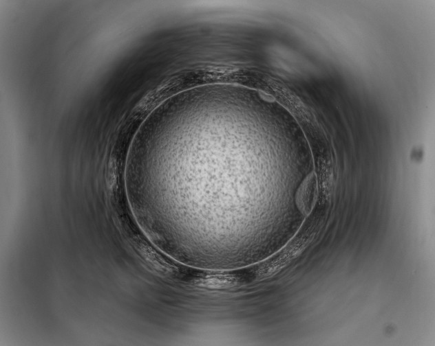 X0000098210758200805011210