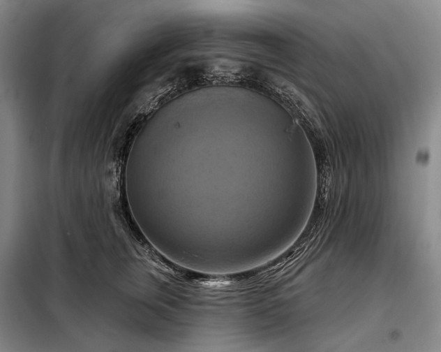 X0000098210759200805011210