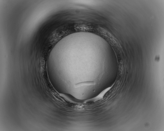 X0000098210760200805011210