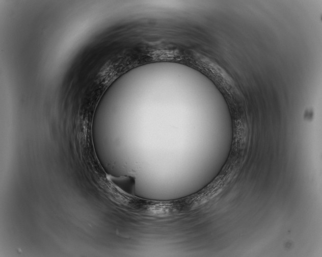 X0000098210761200805011210