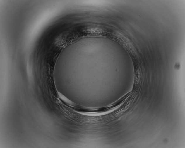 X0000098210762200805011210