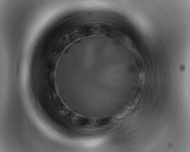 X0000098210765200805011210