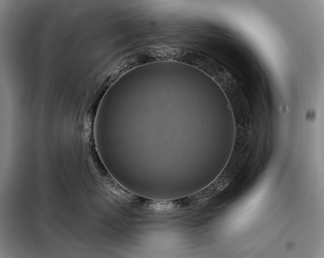 X0000098210767200805011211