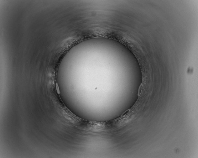 X0000098210768200805011211