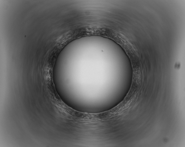 X0000098210770200805011210