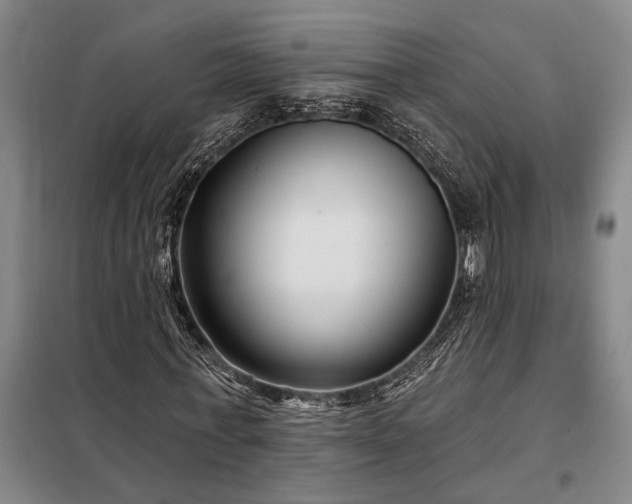 X0000098210771200805011210