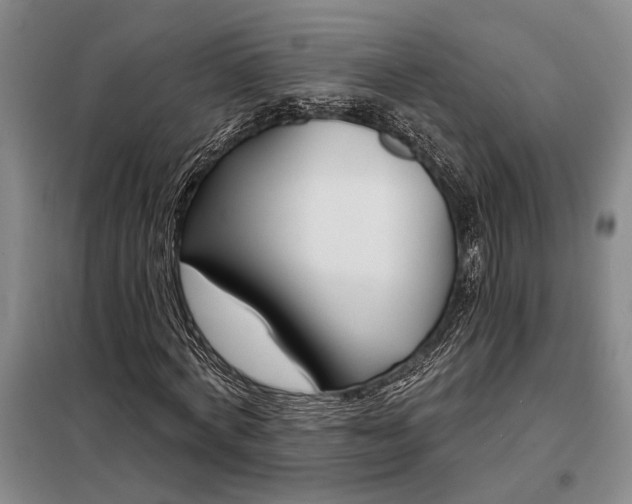 X0000098210772200805011210