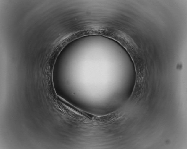 X0000098210773200805011210