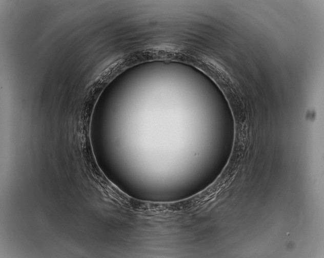 X0000098210774200805011210
