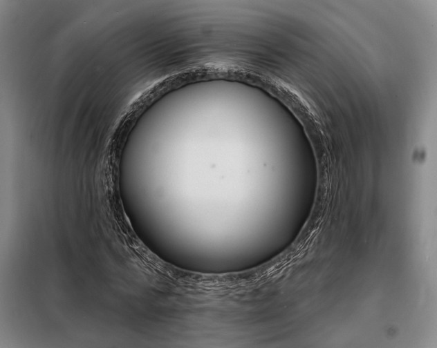 X0000098210776200805011210