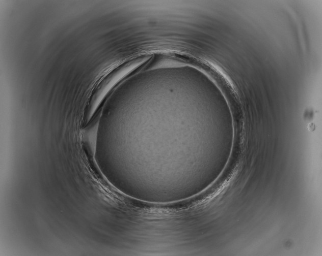 X0000098210777200805011210
