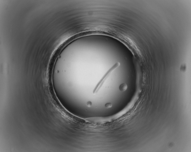X0000098210780200805011209