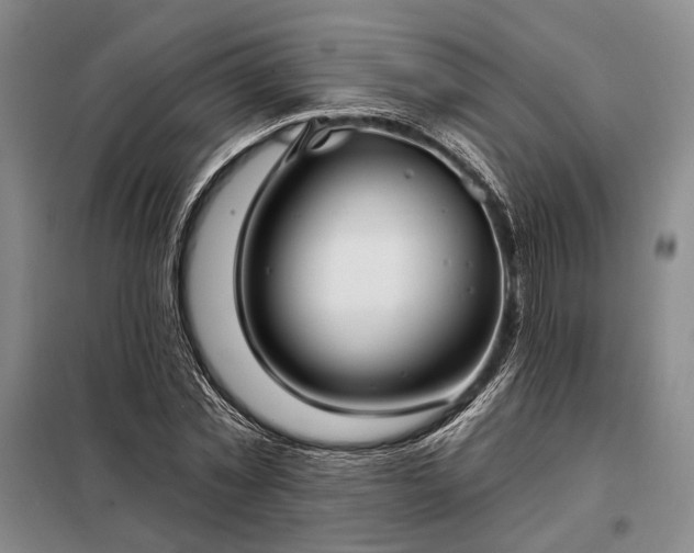 X0000098210781200805011209