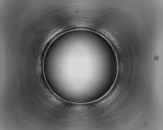X0000098210782200805011209