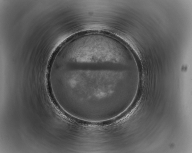 X0000098210783200805011209