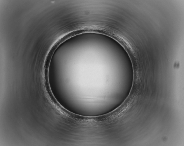 X0000098210784200805011209