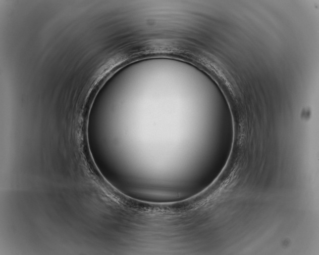 X0000098210786200805011209